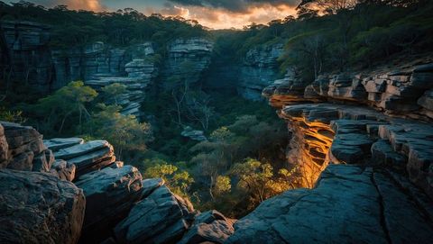 Sunlit sandstone canyon with forest canopy in wilderness setting