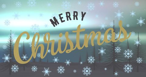 Festive Merry Christmas Greeting with Winter Snowflakes