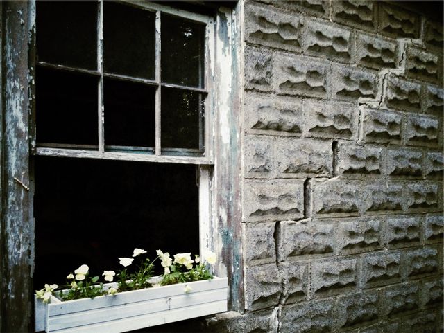 Rustic window with flower box full of white flowers on weathered stone wall. Suitable for themes involving architecture, vintage settings, gardening, countryside living, and outdoor beauty. Ideal for home decor, gardening blogs, architectural design projects, and nostalgic themes.
