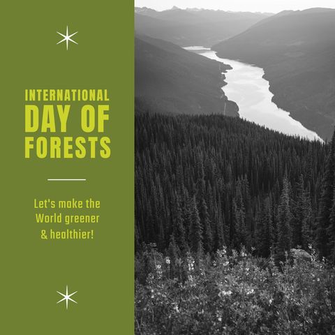 Serene Forest Landscape Promoting Conservation