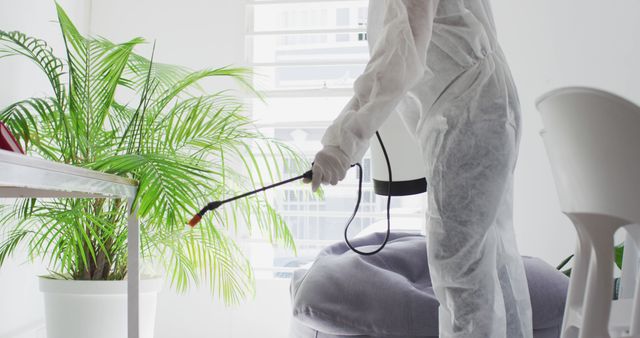 Professional Pest Control Specialist Spraying In Modern Interior - Download Free Stock Images Pikwizard.com