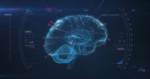 Digital Representation of Human Brain with Data Analysis - Download Free Stock Images Pikwizard.com