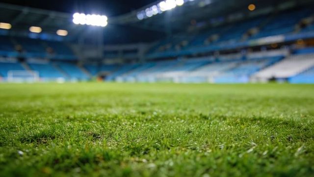 Close-up stadium grass under floodlights with blurred goalpost at night