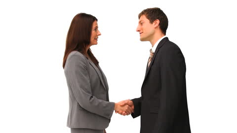 Professional Business Handshake Between Partners