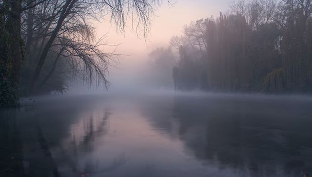 Misty dawn on tranquil river reflecting bare willows and pastel fog over glassy water
