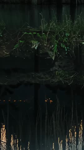 Dusk riverbank vertical video capturing close-up reeds with amber water reflections