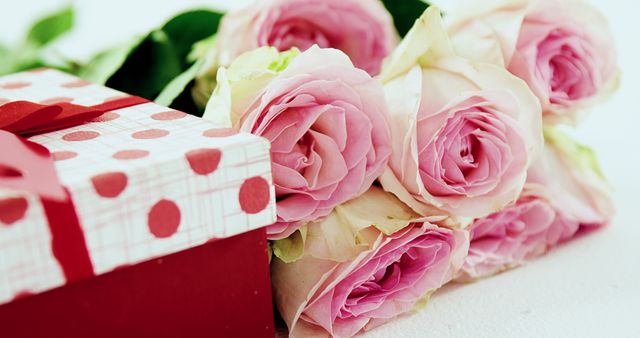 A bouquet of pink roses lies next to a red gift box with a polka dot pattern, with copy space. Roses and thoughtful presents are often associated with expressions of love, celebration, and special occasions.