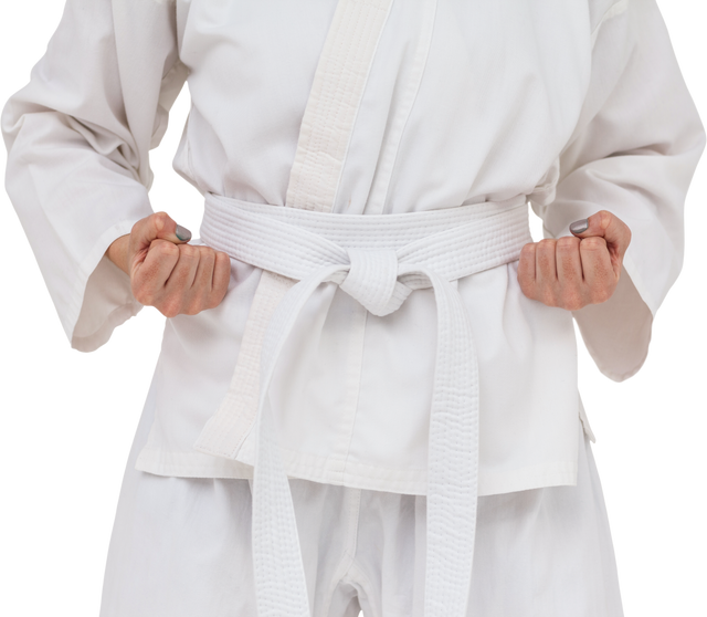 Transparent Close-Up Karate Expert Gripping Belt in Strong Pose - Download Free Stock Videos Pikwizard.com