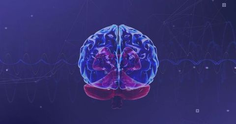 Digital Brain with Neural Connections and Interface Visualization - Download Free Stock Images Pikwizard.com