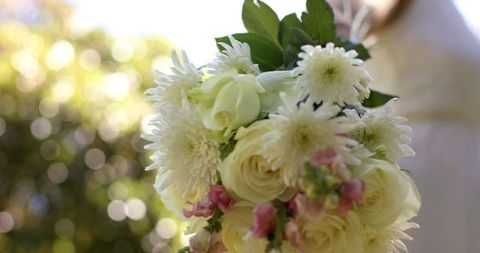 Joyful Outdoor Wedding Featuring Senior Couple Embracing - Download Free Stock Images Pikwizard.com