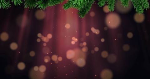 Festive Christmas Background with Fir Branches and Bokeh Lights - Download Free Stock Images Pikwizard.com