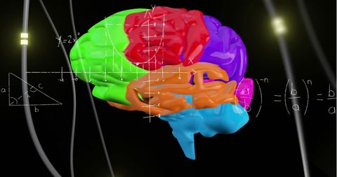 Colorful digital brain overlays mathematical equations for ai concepts