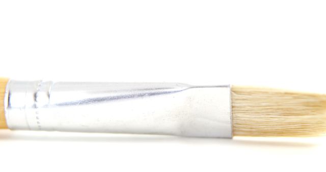 Close-Up of Paintbrush Bristles and Metal Ferrule - Download Free Stock Images Pikwizard.com