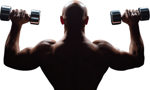 transparent muscular man weightlifting for strength training - Download Free Stock Videos Pikwizard.com