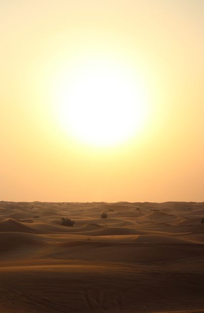Captures the serene beauty of a desert landscape during sunset. The distant dunes under the golden sky create a tranquil and mesmerizing effect. Ideal for use in travel blogs, brochures about desert safaris, background for inspirational quotes, or wall art depicting natural beauty and tranquility.