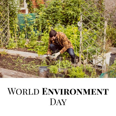 young man gardening in celebration of world environment day - Download Free Stock Templates Pikwizard.com
