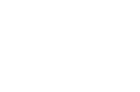 Seamless White Gearflower Pattern on Transparent Background - Download Free Stock Videos Pikwizard.com