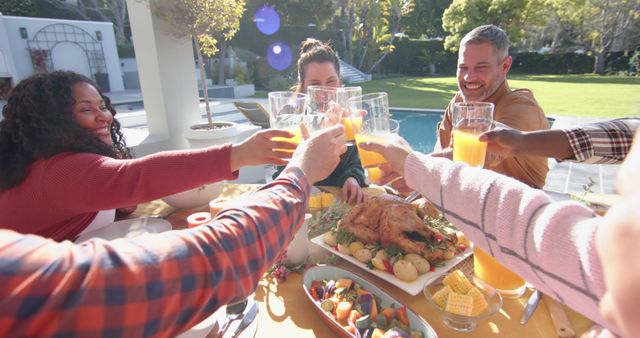 Friends Toasting During Outdoor Picnic Gathering - Download Free Stock Images Pikwizard.com