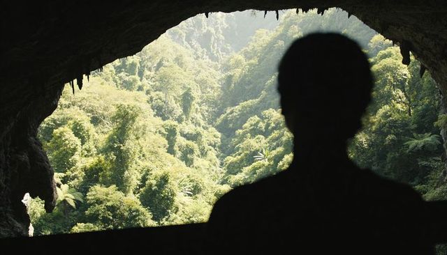 Silhouetted figure contemplating sunlit tropical forest canopy from cave mouth lookout