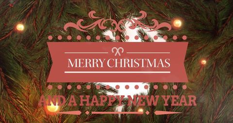 Festive Christmas and New Year Greeting with Fir Tree