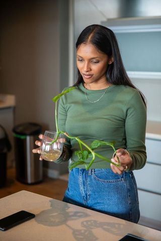 Woman Inspecting Vine Roots in Home Kitchen with Smartphone on Counter