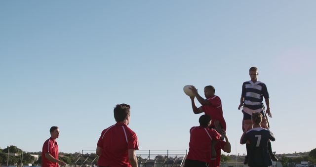 Rugby Players Contesting Ball in Lineout - Download Free Stock Images Pikwizard.com