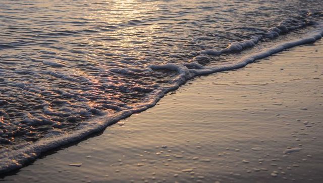 Golden-hour shoreline with foaming waves glinting on wet sand and gentle tide ripples
