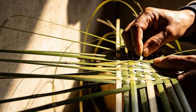 Senior artisan weaving green palm strips in sunlit workshop, hands crafting woven basket