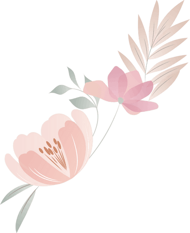 elegant transparent floral illustration with pink flowers and leaves - Download Free Stock Videos Pikwizard.com