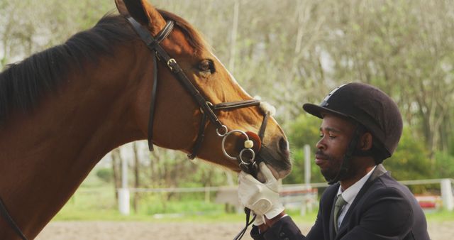 Equestrian Giving His Horse a Treat After Riding Session - Download Free Stock Images Pikwizard.com