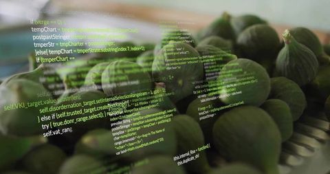 Green figs resting on ceramic plate with floating green code overlay, tech food concept