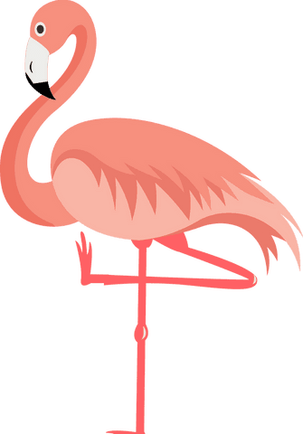 transparent minimalistic flamingo with curved neck - Download Free Stock Videos Pikwizard.com