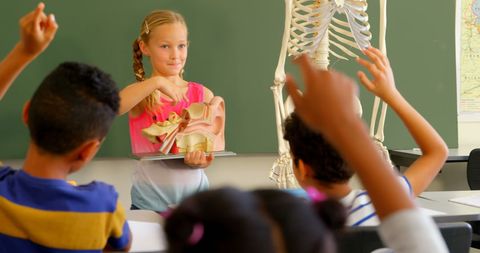 Young Student Teaching Anatomy in Classroom - Download Free Stock Images Pikwizard.com