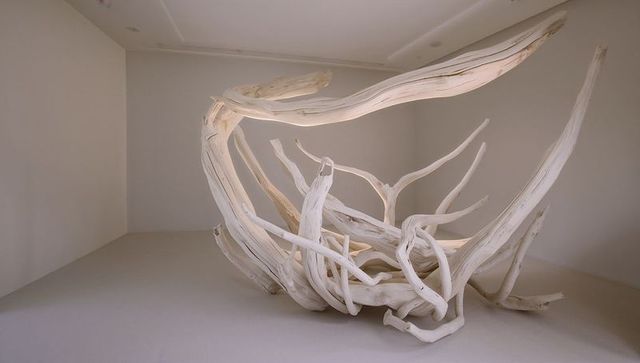 Driftwood sculpture curving and intertwining in minimal white gallery interior
