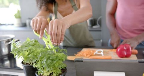 Couple cooking with fresh herbs and vegetables in kitchen