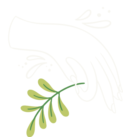 Transparent Minimalist Hand with Botanical Element and Water Droplets - Download Free Stock Videos Pikwizard.com