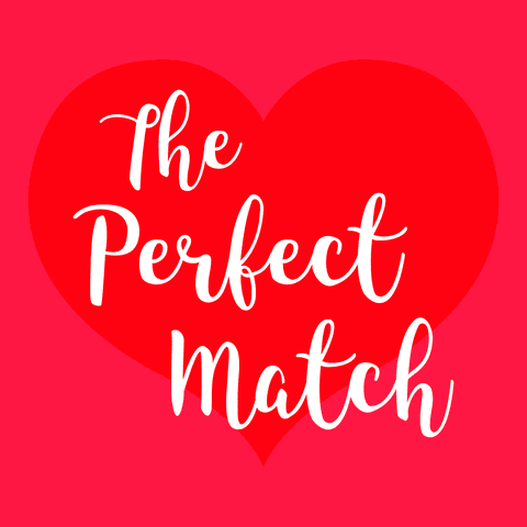 perfect match love quote on transparent background - Download Free Stock Videos Pikwizard.com