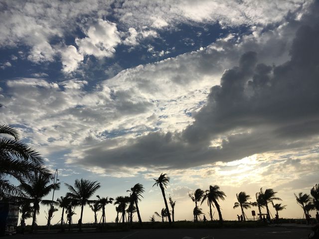 Silhouettes of windblown palm trees during a dramatic sunset on a tropical beach. Clouds fill the sky as the sun sets, creating a striking contrast. Ideal for use in travel brochures, weather reports, postcards, and websites related to nature and tropical vacation destinations.