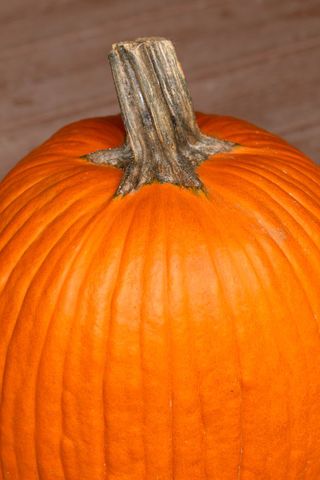 Close-Up Bright Orange Pumpkin on Rustic Surface