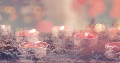 Christmas Glow with Fir Forest and Candlelight