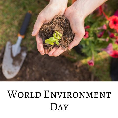 Planting Seedling for World Environment Day - Download Free Stock Templates Pikwizard.com