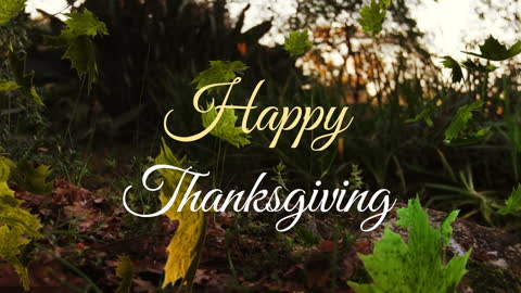 Happy Thanksgiving Message in Nature Setting with Fallen Leaves