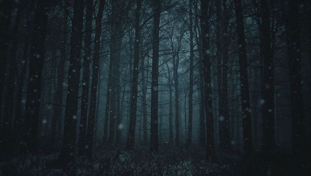 Standing Pine Trunks Receding into Foggy Twilight with Falling Snow and Brush