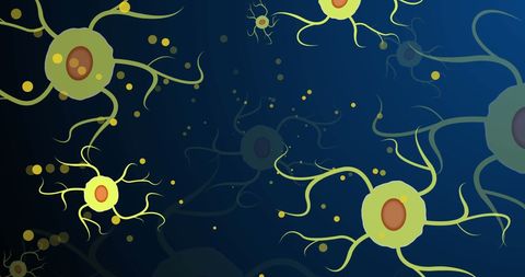 Abstract digital cells on navy background in human anatomy