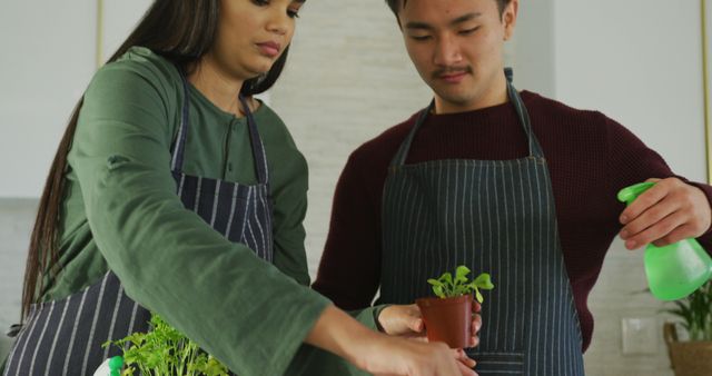 Young couple potting plants at home, showing teamwork and domestic gardening. Perfect for themes related to indoor gardening, plant care tips, home decor, organic lifestyle, and couple activities.