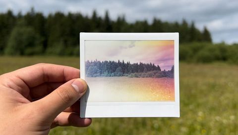 Left hand holding polaroid showing meadow and pine forest with rainbow light-leak