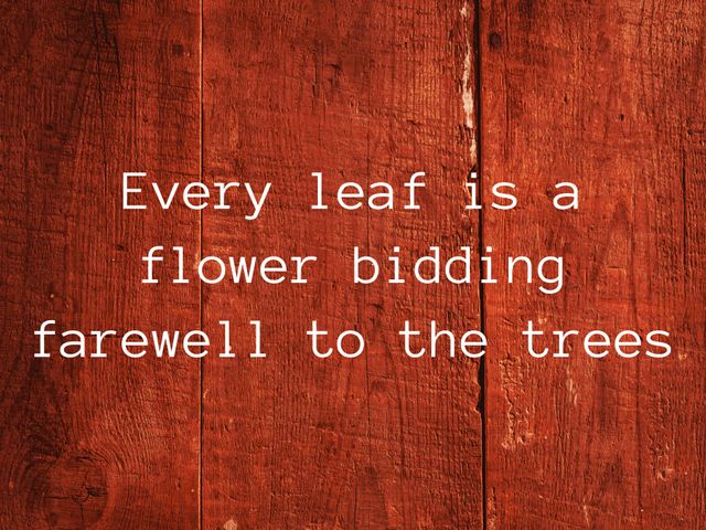 Inspirational quote about leaves on rustic wooden background. Suitable for autumn themes, promoting conservation, lifestyle blogs, motivational posters, and seasonal greeting cards.