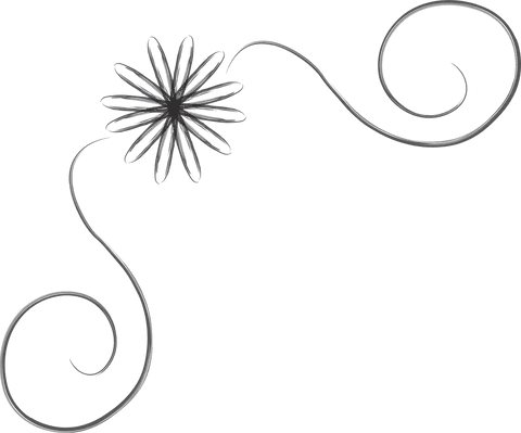 Black Floral Swirl Transparent Design - Download Free Stock Videos Pikwizard.com