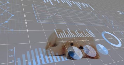 Cream puppy resting behind translucent data visualization overlay with charts and grids