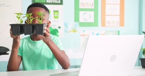 Teenage african male examining seed tray beside laptop in classroom sustainability lesson